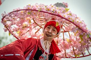 Hanami 2019 - 190519132856.jpg