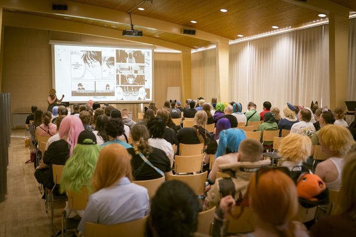 Foto from Desucon 2025 album