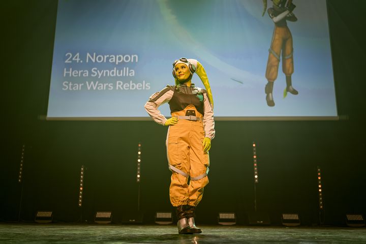 Foto from Desucon 2025 album