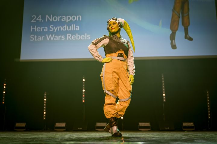 Foto from Desucon 2025 album