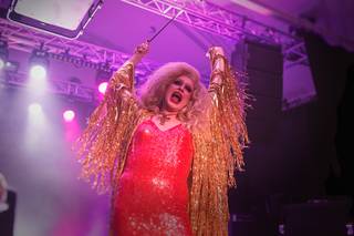 Popcult Nights 2025 - 25100421443918.jpg