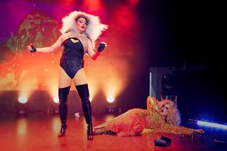 Popcult Nights 2025 - 25100421575350.jpg