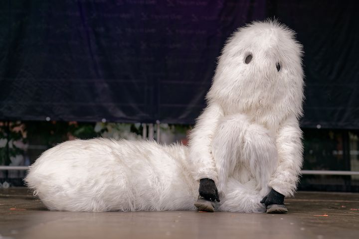 Foto from Tracon 2025 album